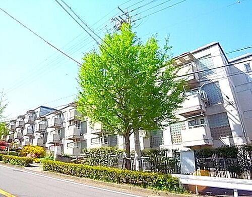 兵庫県芦屋市朝日ケ丘町 築39年11ヶ月 5階建