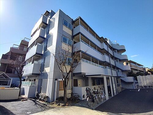 兵庫県芦屋市西蔵町 賃貸マンション