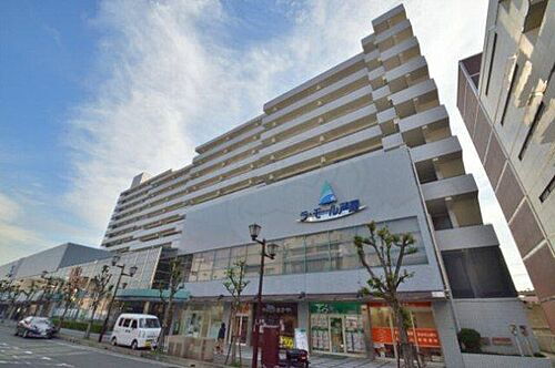 兵庫県芦屋市大原町 賃貸マンション