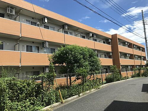 Ｓｉｌｋ　Ｇａｒｄｅｎ