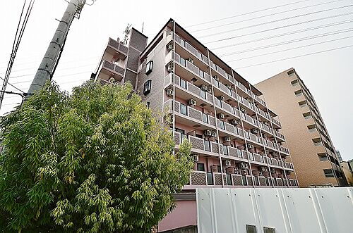 ＰＲＩＭＲＯＳＥ