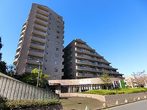 ライオンズマンション（４０４）