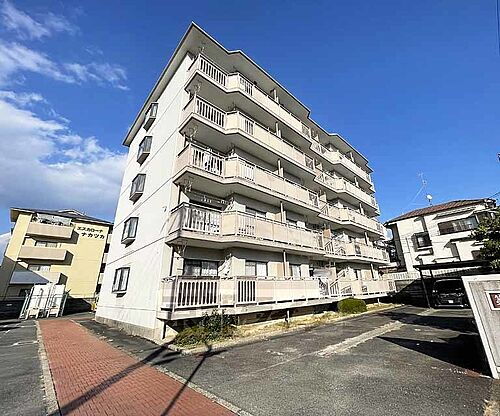 京都府向日市物集女町五ノ坪 5階建 築41年9ヶ月