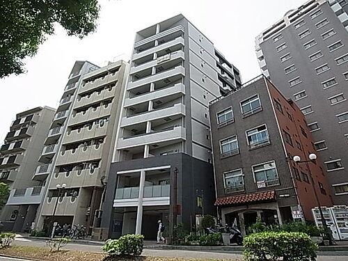 メゾンアイリス