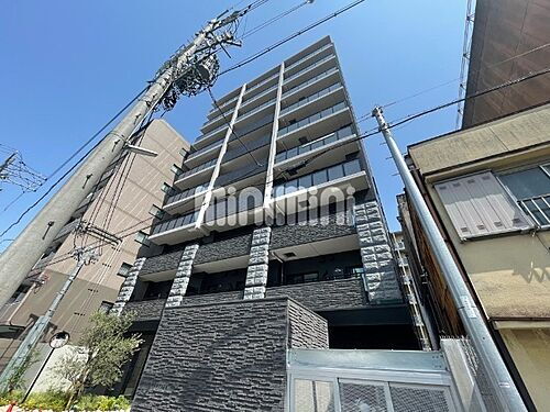 Ｃｅｄｅｒ　Ｎｏｒｉｔａｋｅ