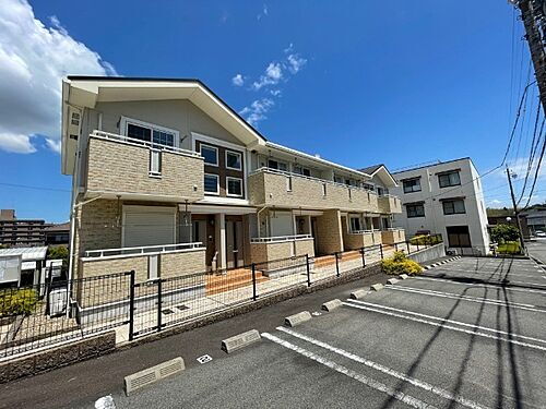 ダンデライオン　ヒル