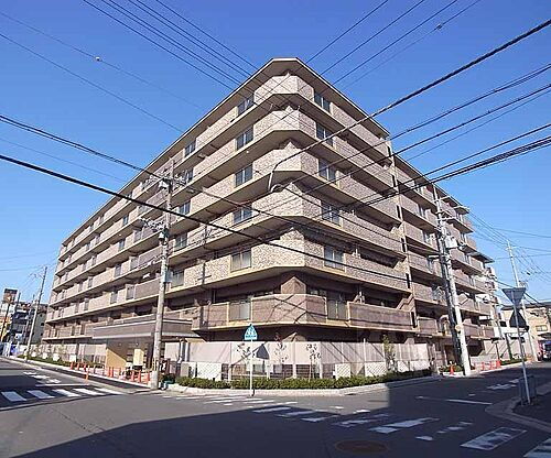 京都府京都市右京区西院月双町 築11年 7階建
