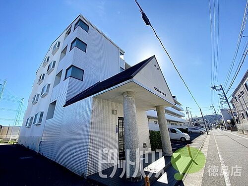徳島県徳島市昭和町８丁目 4階建 築33年10ヶ月