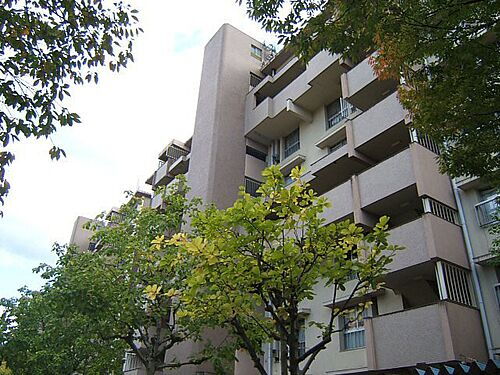 京都府京都市伏見区石田森南町 8階建 築50年4ヶ月