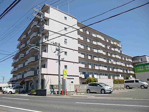 滋賀県大津市大将軍１丁目 7階建