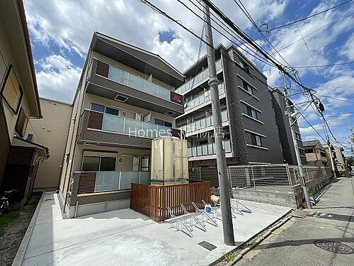 Ｆ　ａｓｅｃｉａ　Ｃａｎａｒｅ