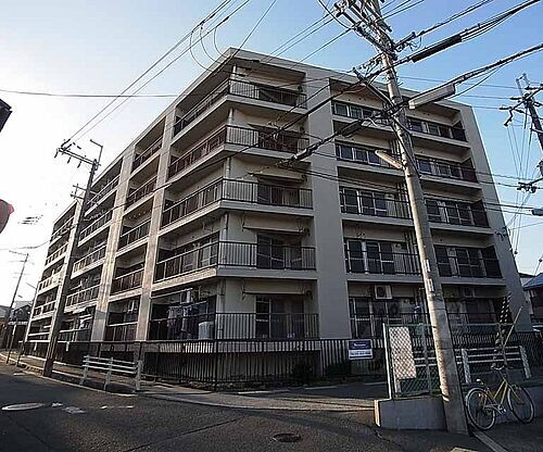 京都府向日市鶏冠井町荒内 5階建 築51年6ヶ月