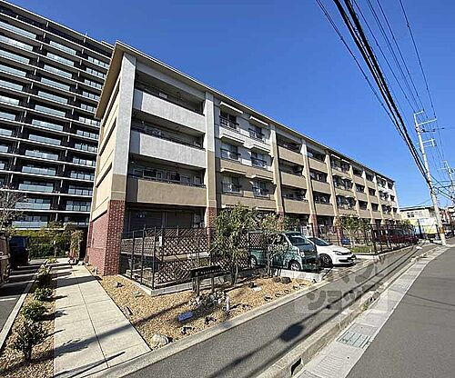 京都府向日市寺戸町寺田 4階建 築58年12ヶ月