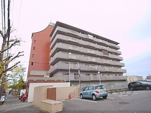 京都府京都市右京区西京極畑田町 築43年5ヶ月 7階建