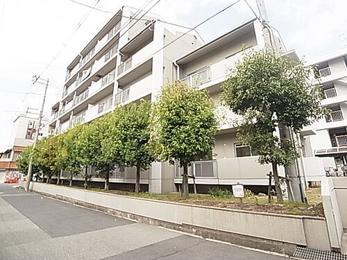 兵庫県神戸市東灘区御影石町２丁目 6階建 築38年4ヶ月