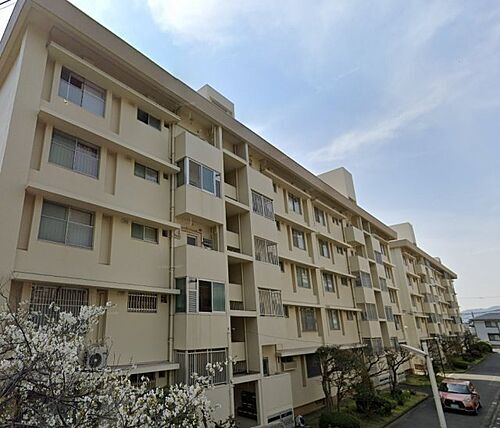 兵庫県神戸市東灘区御影山手３丁目 築58年10ヶ月 地上5階地下1階建