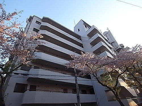 兵庫県尼崎市猪名寺２丁目 7階建 築34年8ヶ月
