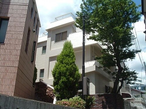 兵庫県神戸市中央区山本通２丁目 賃貸マンション