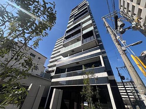 大阪府大阪市浪速区下寺３丁目 築1年11ヶ月 14階建