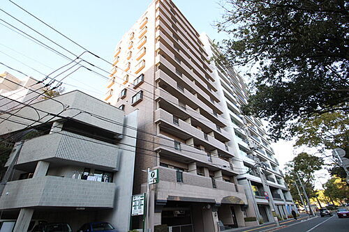 広島県広島市中区中島町 14階建 築25年8ヶ月