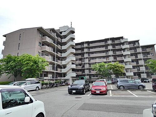 千葉県船橋市中野木１丁目 7階建 築31年8ヶ月