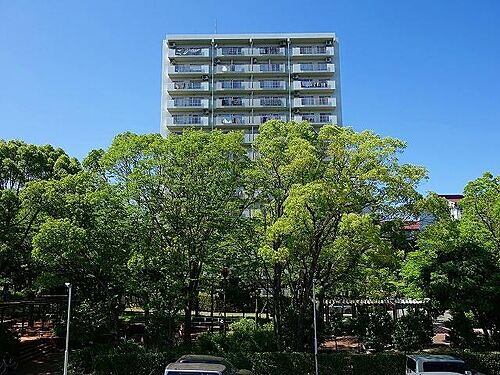 愛知県名古屋市熱田区六野２丁目 14階建 築38年6ヶ月
