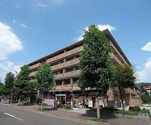 京都府京都市左京区岡崎円勝寺町 5階建