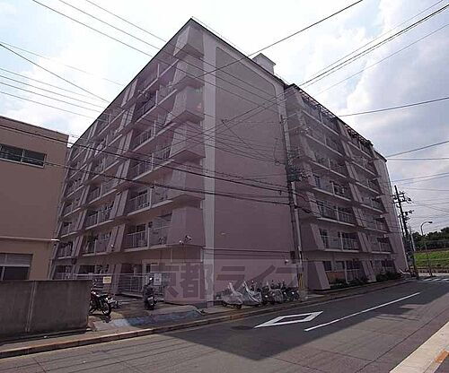 京都府京都市右京区西京極畔勝町 8階建 築51年8ヶ月
