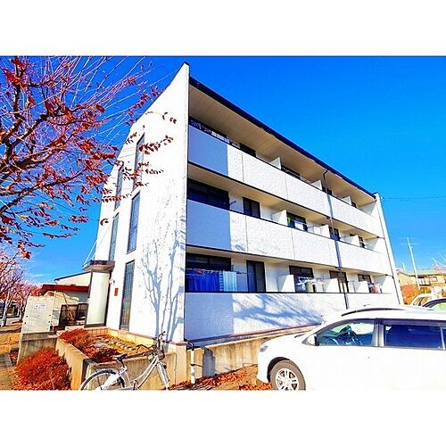 レオパレスクレール