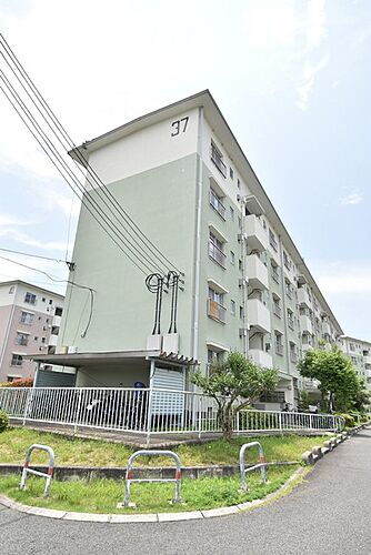 大阪府和泉市鶴山台２丁目 賃貸マンション