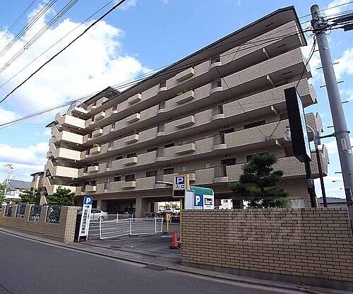 京都府京都市右京区常盤下田町 7階建 築41年4ヶ月