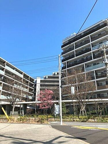 東京都板橋区加賀１丁目 15階建 築8年6ヶ月