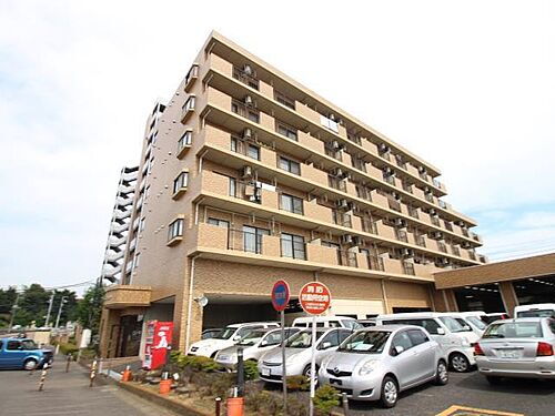 千葉県柏市根戸 6階建