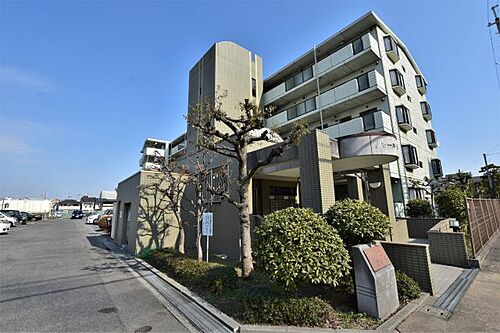 大阪府松原市一津屋３丁目 5階建