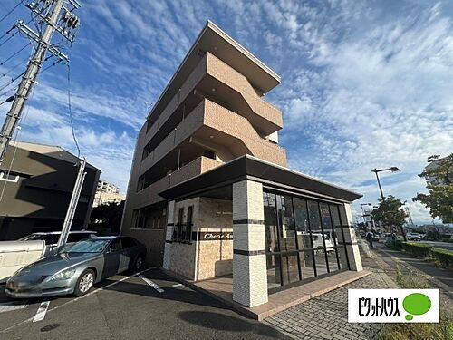 シェリーアネラ（Ｃｈｅｒｉｅ　Ａｎｅｒａ）