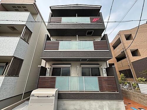 Ｆ　ａｓｅｃｉａ　ｉｒｉｆｉ