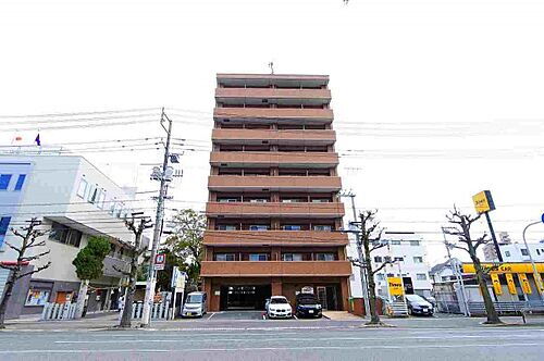 広島県広島市中区白島九軒町 9階建 築19年10ヶ月