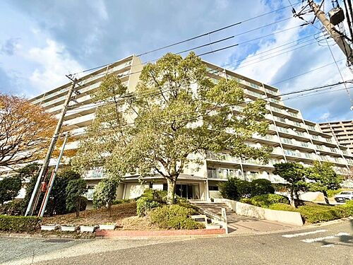 兵庫県神戸市須磨区北落合６丁目 11階建 築40年11ヶ月