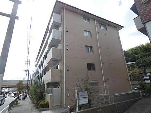 京都府京都市伏見区桃山町遠山 5階建