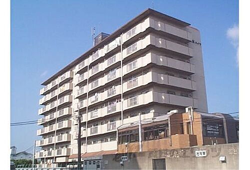 京都府京都市伏見区横大路朱雀 8階建 築41年11ヶ月