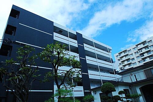 東京都江東区枝川１丁目 地上5階地下1階建 築16年9ヶ月