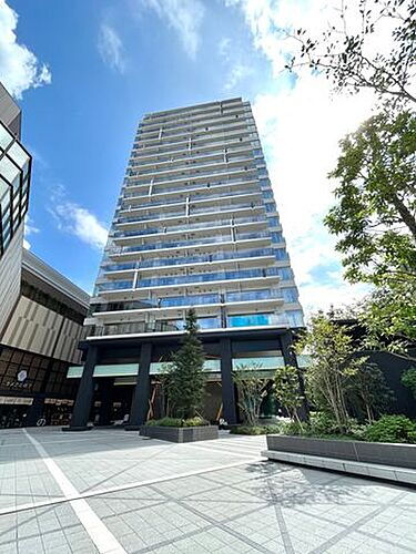 東京都江東区亀戸６丁目 25階建 築4年