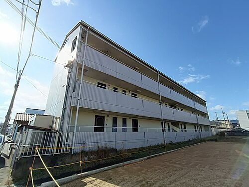 ルピナスコート