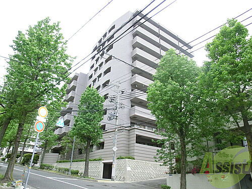 兵庫県神戸市中央区熊内町５丁目 賃貸マンション