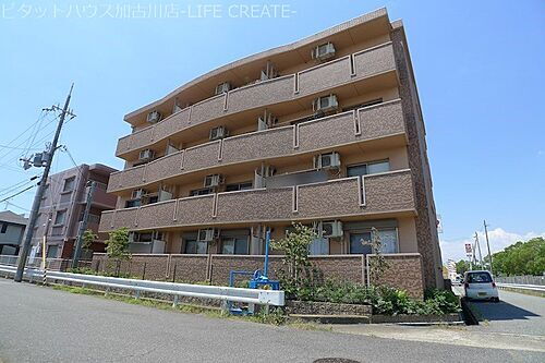 兵庫県加古川市別府町新野辺北町７丁目 築13年7ヶ月 4階建