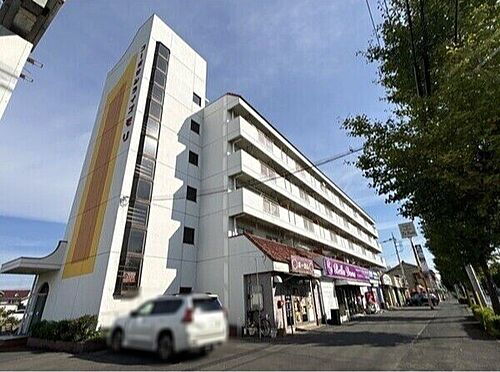 群馬県邑楽郡大泉町坂田４丁目 賃貸マンション