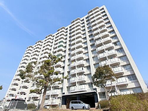 大阪府堺市南区桃山台２丁 賃貸マンション