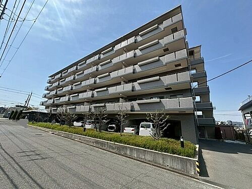 ＣＡＰＲＩ　ＣＯＲＮＵＳ