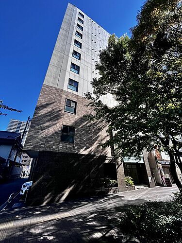 愛知県名古屋市中村区名駅南１丁目 築11年12ヶ月 11階建