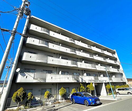 岐阜県安八郡安八町東結芝原 5階建 築19年4ヶ月